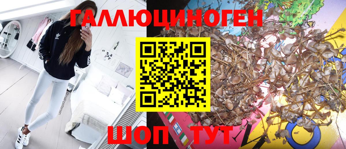 Галлюциногенные грибы мухоморы Гусев